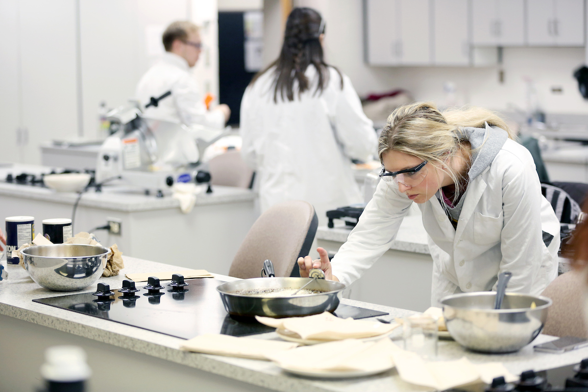 A Food Science graduate student (right) studies the optimization of time, temperature and thickness for making chips from various fruits and vegetables during Assistant Professor Pranabendu Mitra's Food Product Development class Thursday, November 9, 2017. During the lab, students also measured color, water activity, hardness, moisture and oil content of the chips. (UW-Stout photo by Brett T. Roseman)