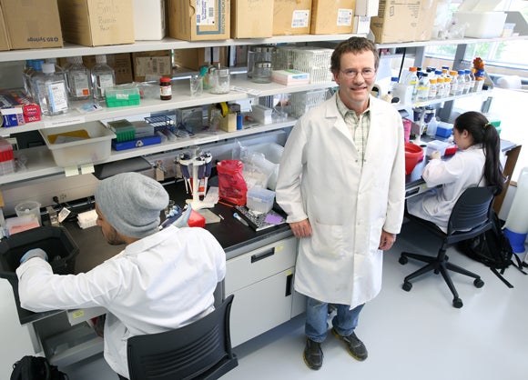 Biology Professor Jim Burritt works on the honey bee research project with students Matheus de Jesus and Viviane Oshima in a biotechnology lab.