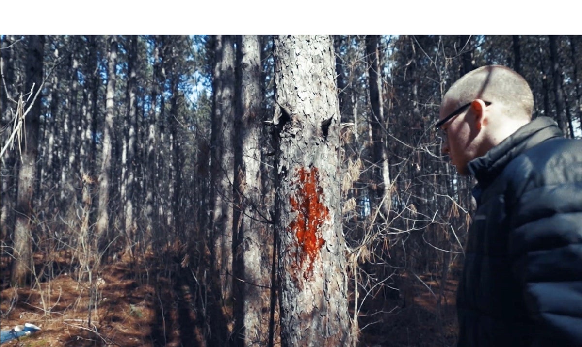 Walking in the forest, a man, portrayed by John Augustin, makes an unusual discovery in the film “L’Observateur.”