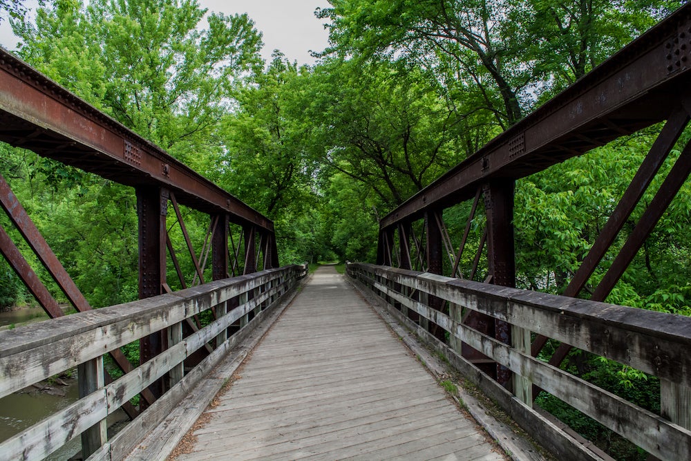 View of a bridge as a part of the Red Cedar Trail.