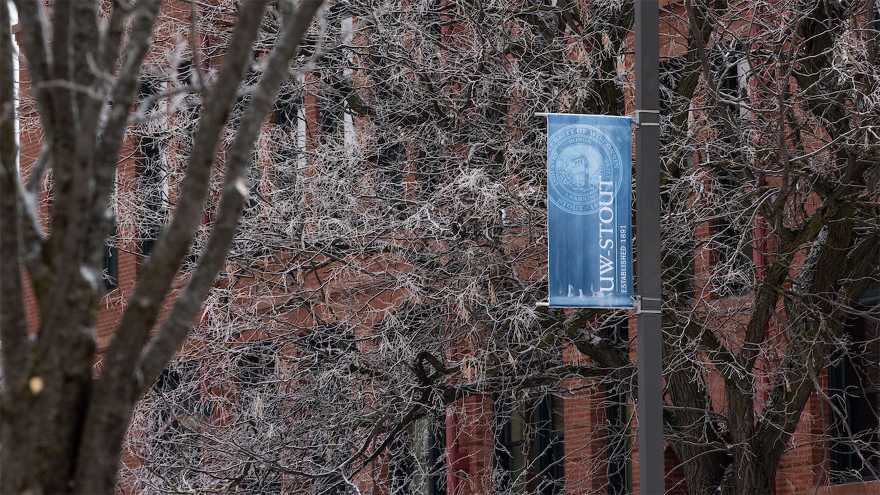 Frosty trees and banners on campus.
