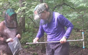 Wetland soil being analyzed