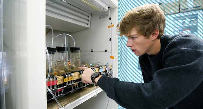 Student conducting aquatic biology sample tests