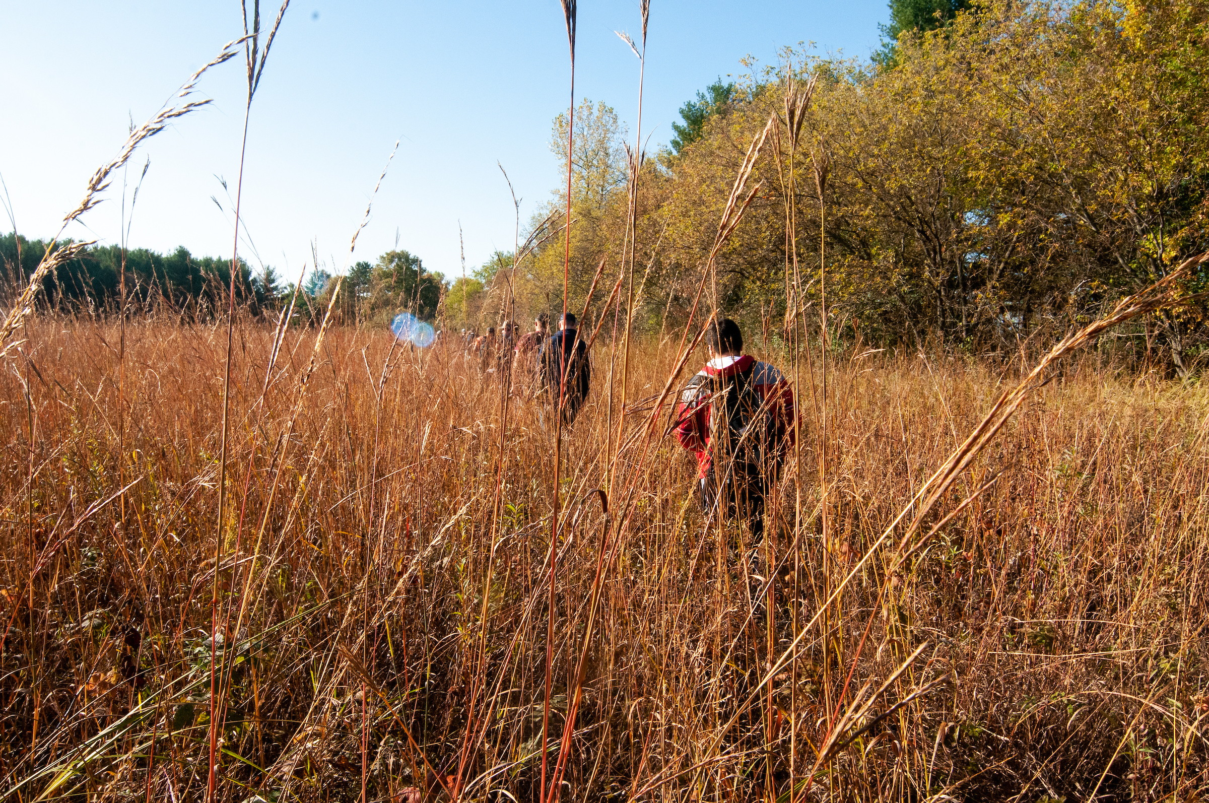 Students conduct a prairie restoration field study.
