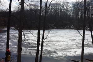 Four Pond in Winter