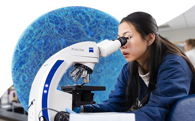 Student looks intro microscope in lab setting.