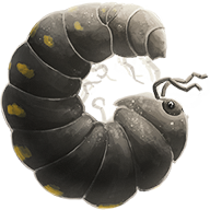 bugby