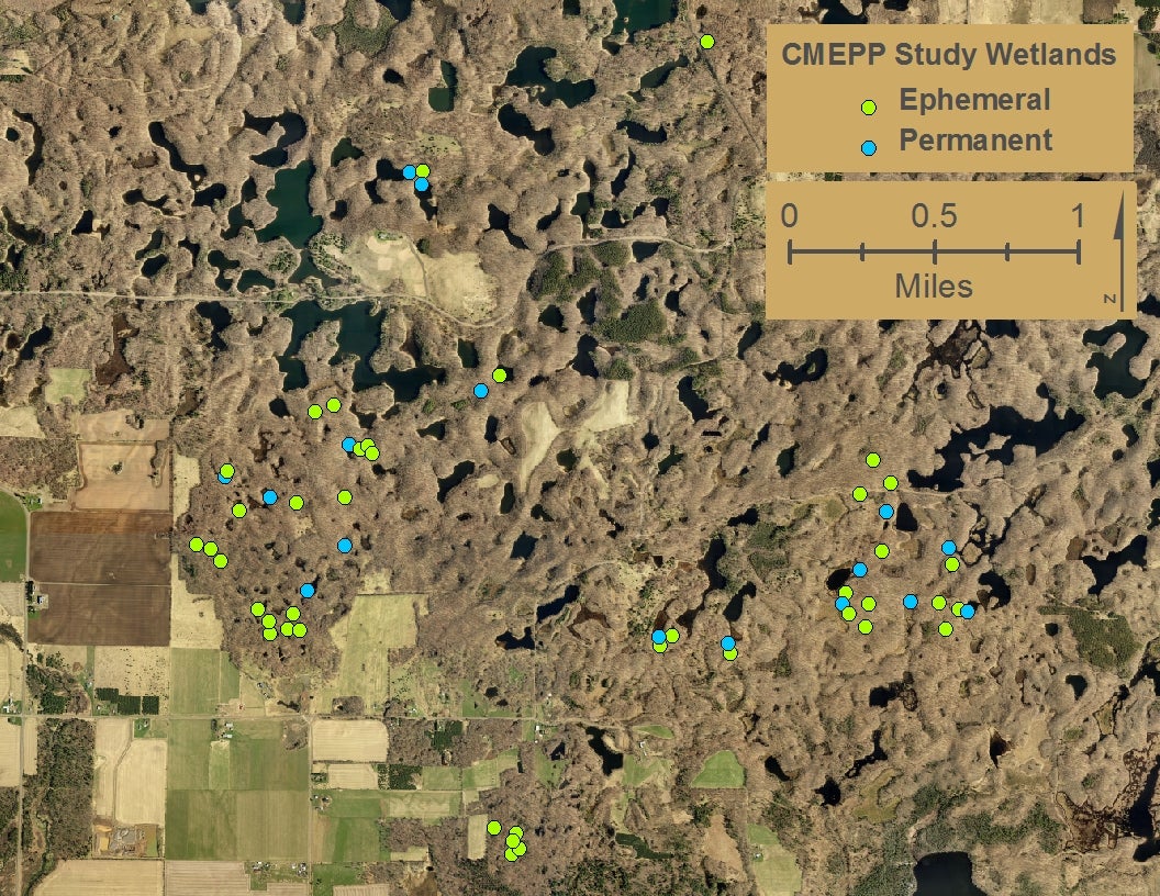 CMEPP study ponds