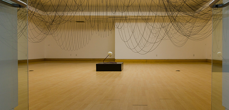 Skull with black string