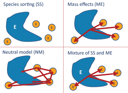 The four metacommunities 