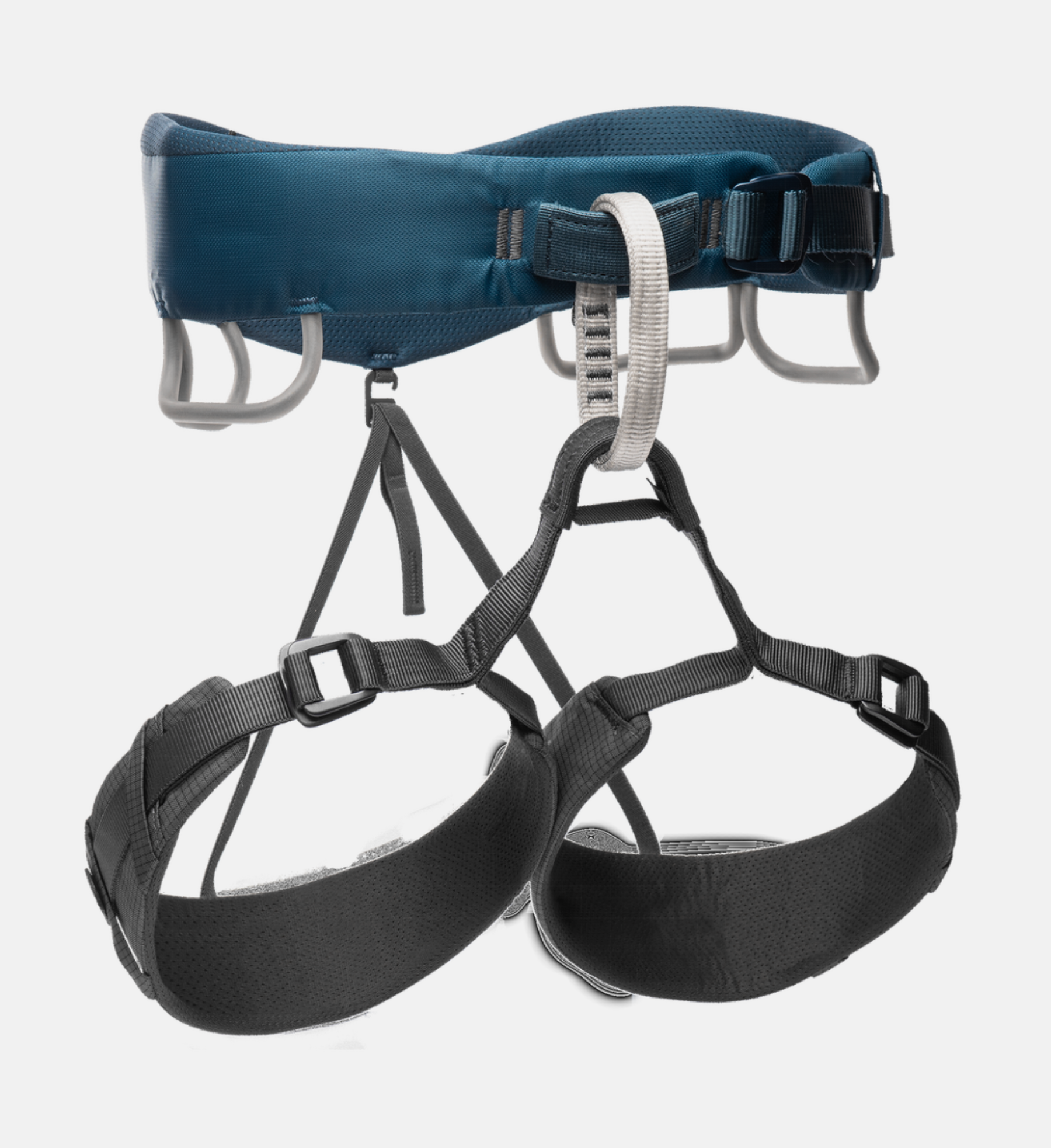 Midnight Momentum Harness