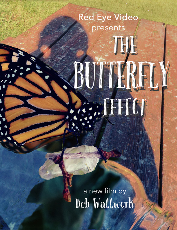ButteflyEffect