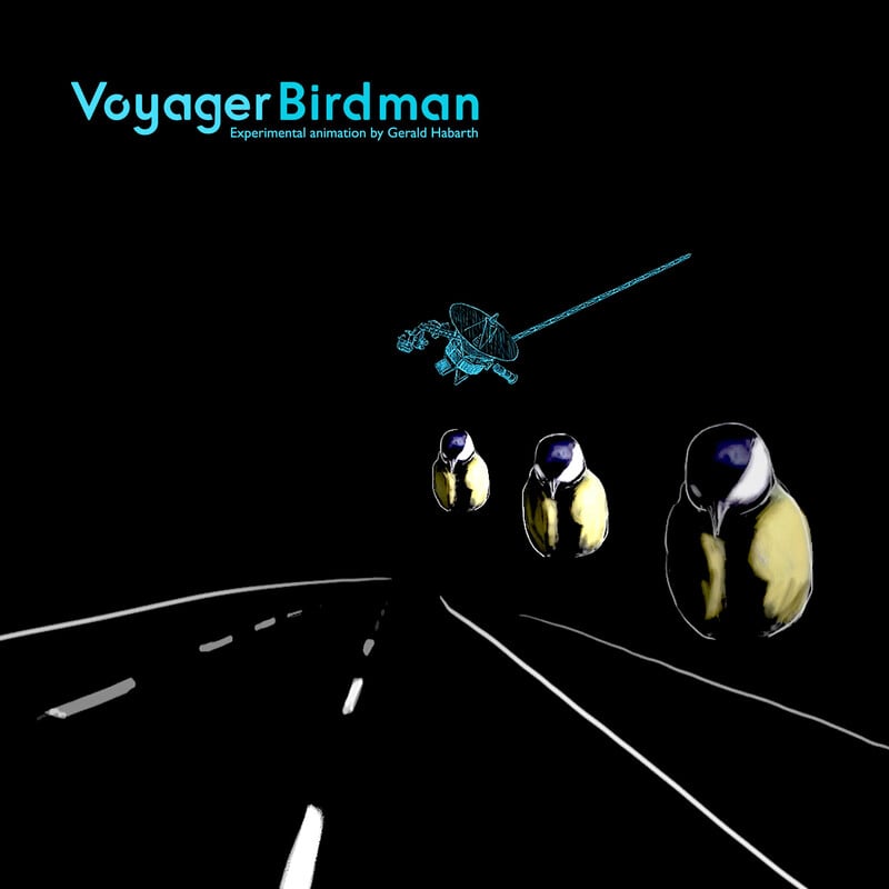 VoyagerBirdman