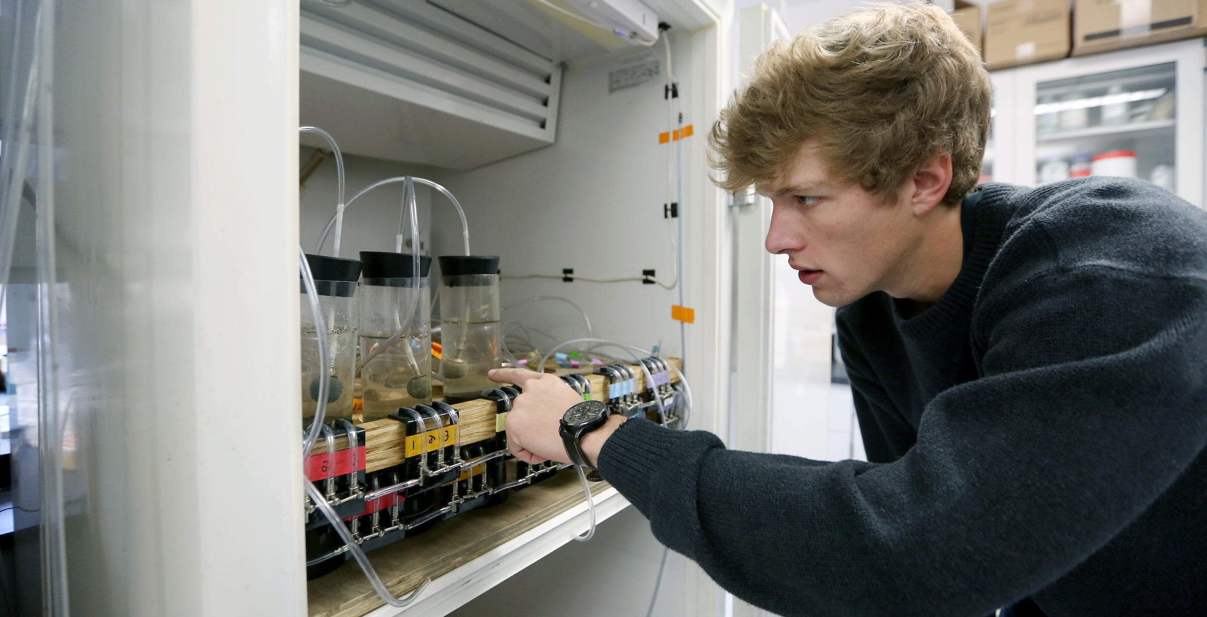 Student examines aquatic specimens