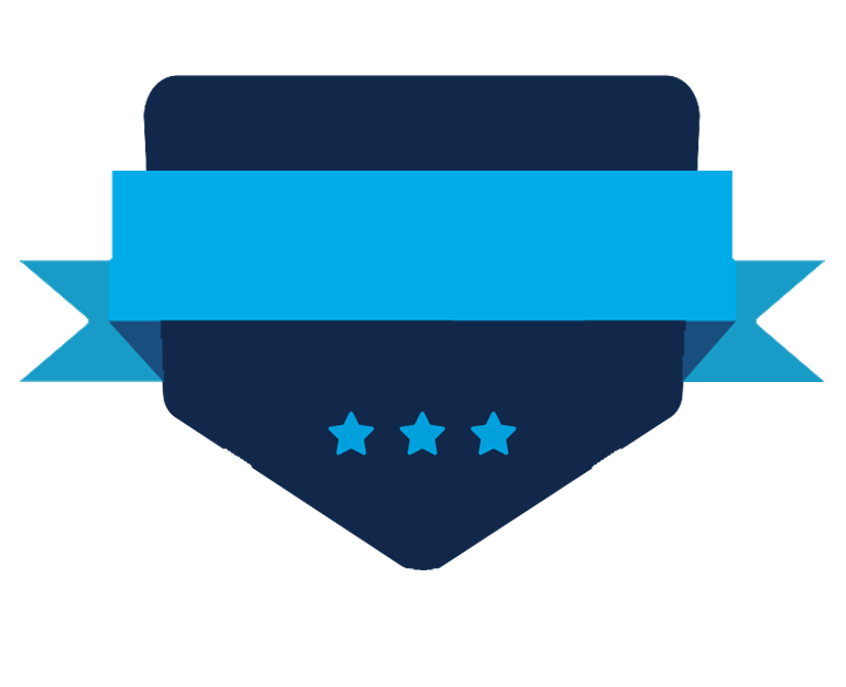 badge certificate icon