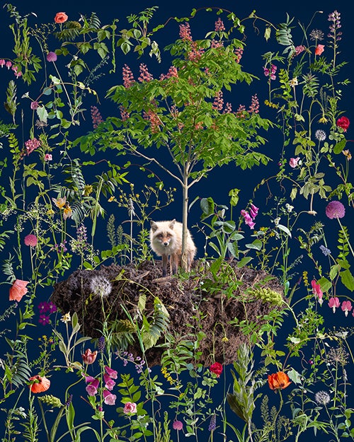 Morgan Barrie’s “Ornament,” a composite of photos on inkjet print, will be part of the exhibit.