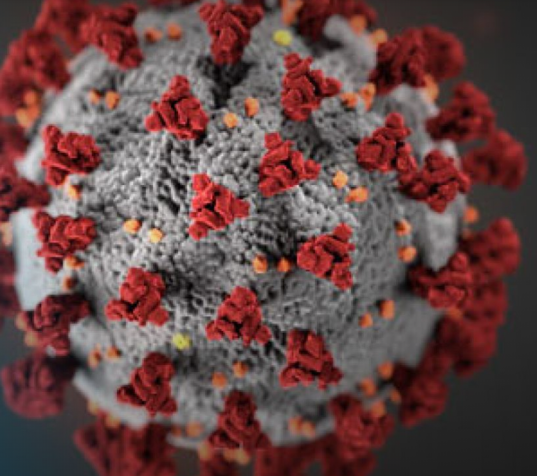 Image of COVID-19 virus