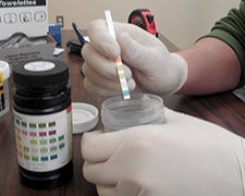 Student testing soil samples