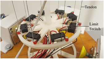 Limit Switches of Continuum Manipulator