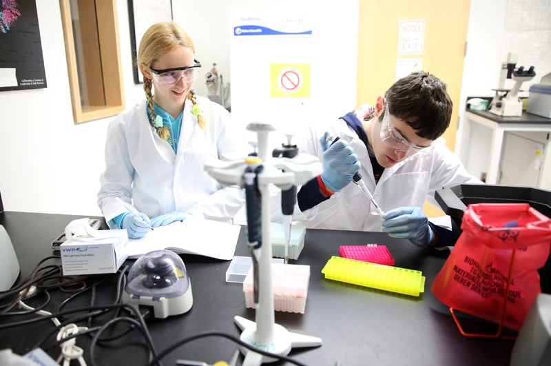 Students work in a molecular cell biology lab at UW-Stout.