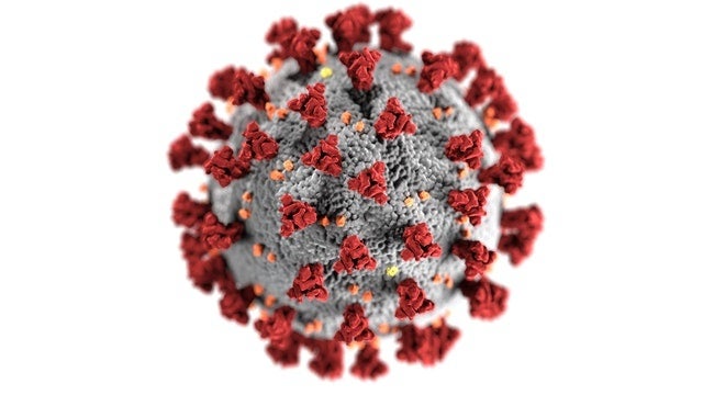 Image of a virus 