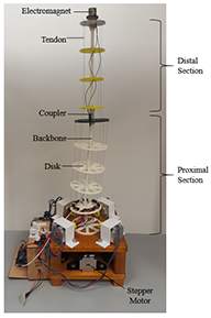 Photo of Continuum Manipulator