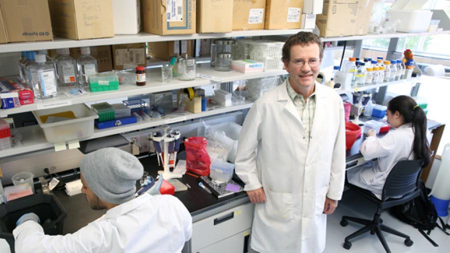 Biology Professor Jim Burritt works on the honey bee research project with students Matheus de Jesus and Viviane Oshima in a biotechnology lab.