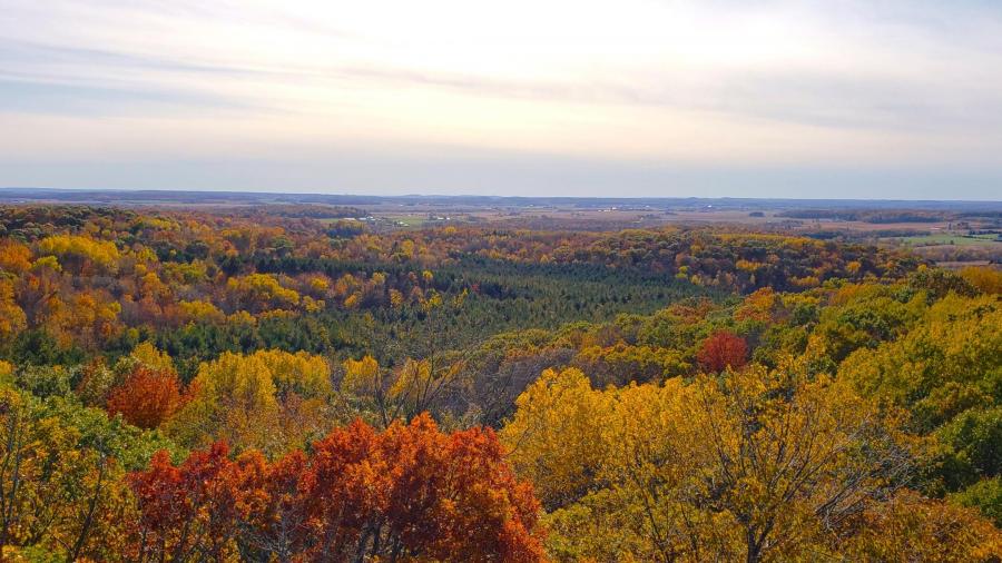 Panoramic view from Hoffman Hills observation tower.