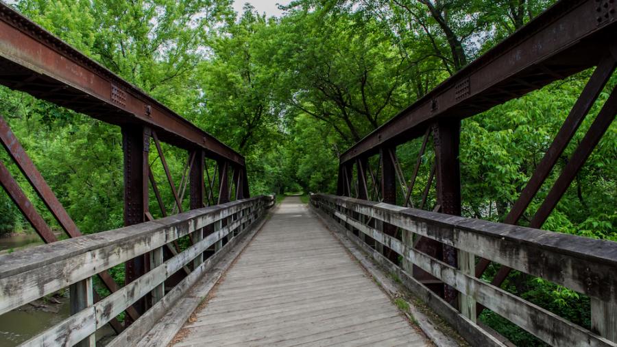 View of a bridge as a part of the Red Cedar Trail.