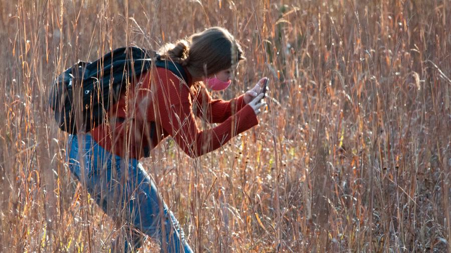Student Sarah Stein leans down to photograph some plants at Menomin Park.