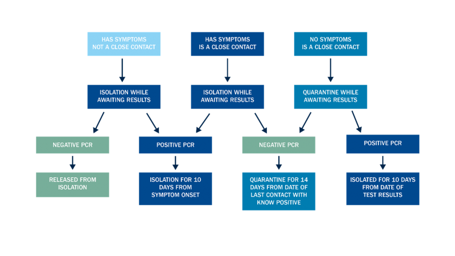 Testing Flow Chart