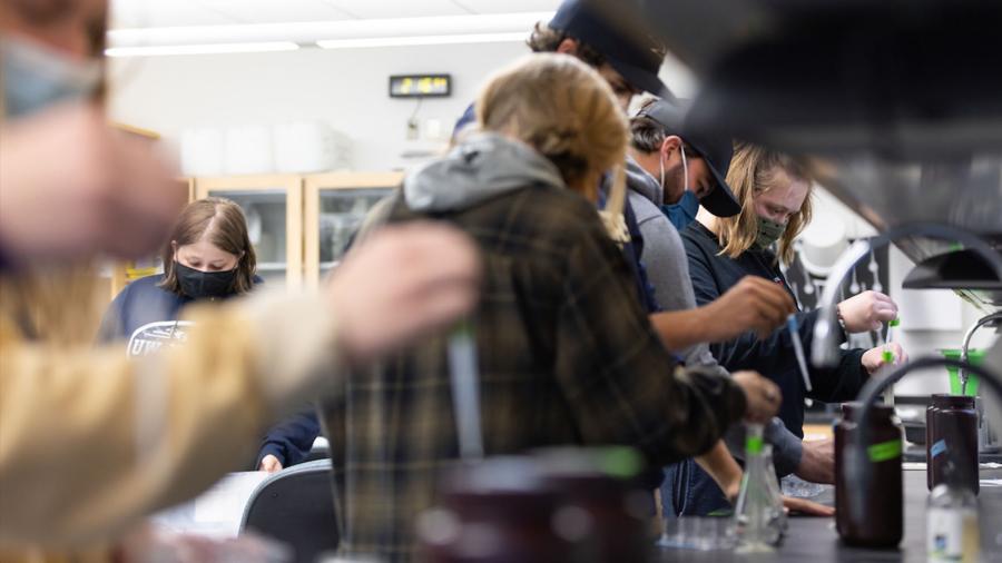 Students in Nicole Hayes' general education biology lab set up experiments to measure nutrient levels in local waterways by charting plant growth.