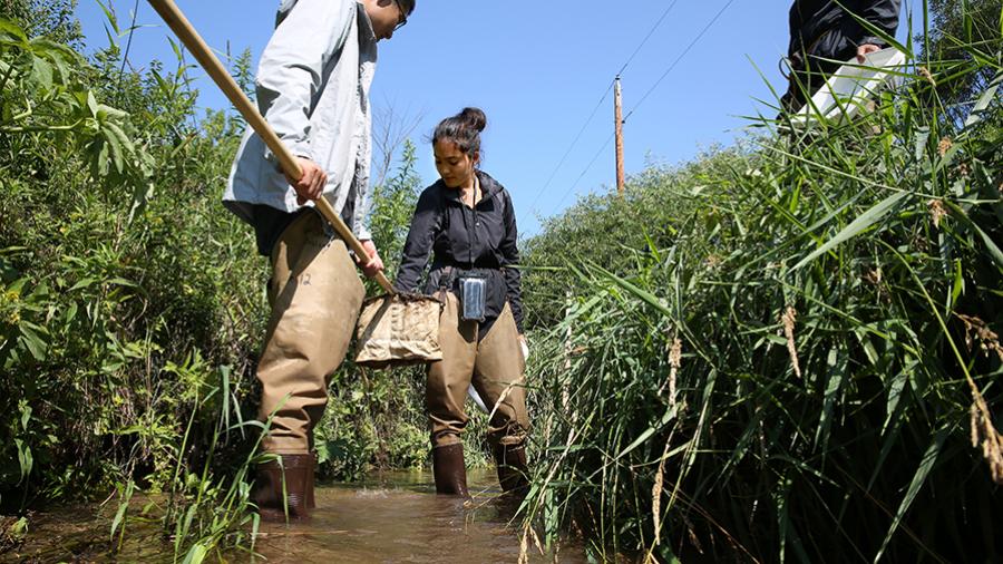 LAKES REU Students last July did research in the north branch of Wilson Creek near Knapp.
