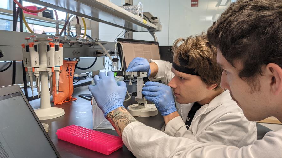 Students Ben Bryans, foreground, and Joshua Rusnak conduct an experiment in a UW-Stout lab.