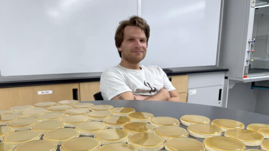 Joshua Rusnak works in a UW-Stout microbiology lab surrounded by agar plates, in which bacteria and fungi are grown using a layer of nutrient in a Petri dish.