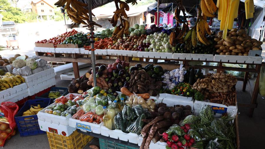 Fresh produce at the farmer’s market in San Ignacio, by Paige Letter