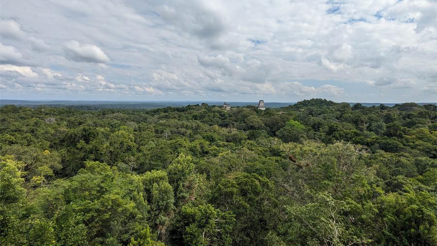 A view of the Guatemalan jungle from the top of a Mayan temple, by Lindsey Ward