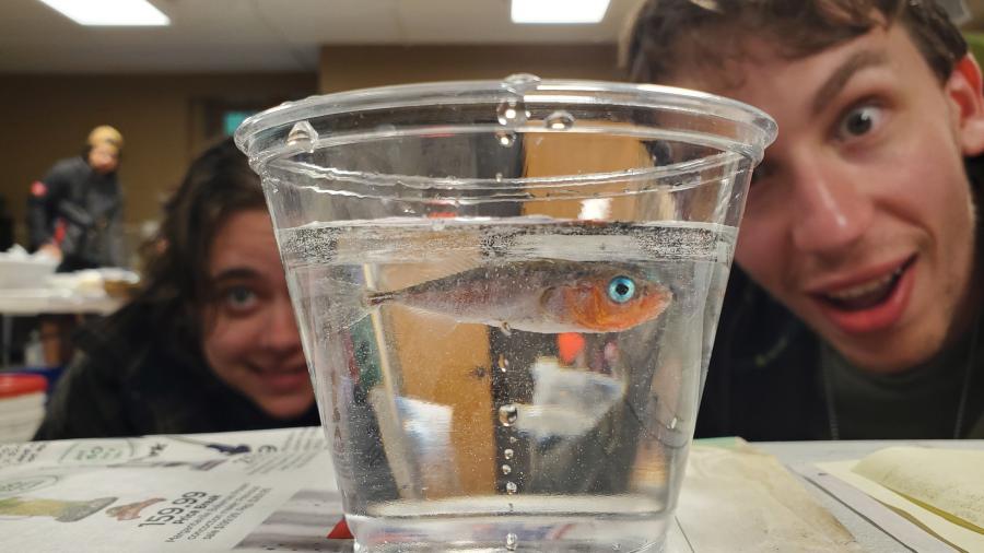 Summer ichthyology students in the lab.