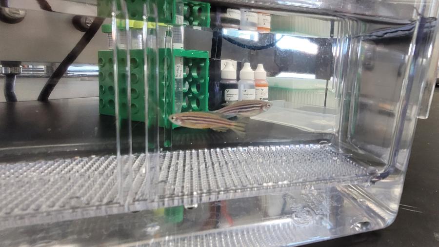 Histology Lab