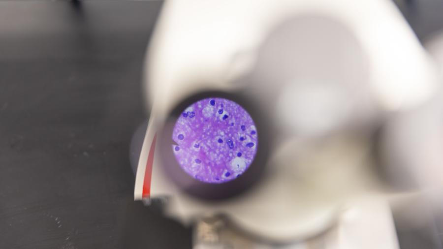 Histology Lab