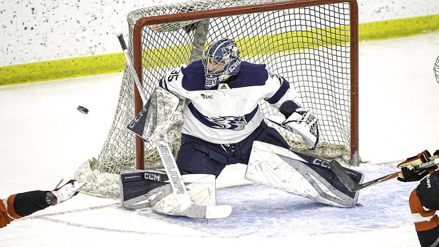 Hockey goalie in action