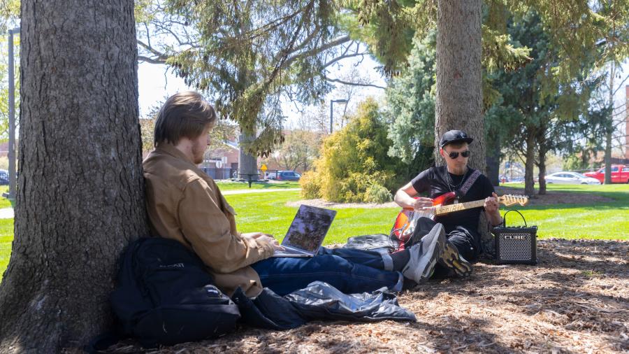 Students sitting under trees