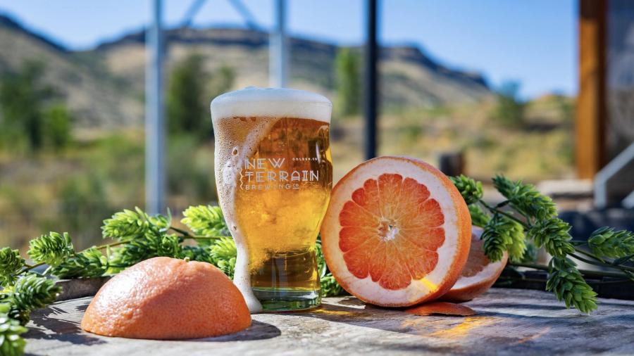 Glass of New Terrain Brewing Co. beer