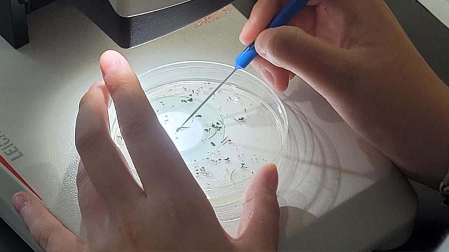 Abi Cherry and Norah Shires in a biology lab