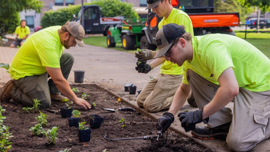 Three workers with plants in garden bed