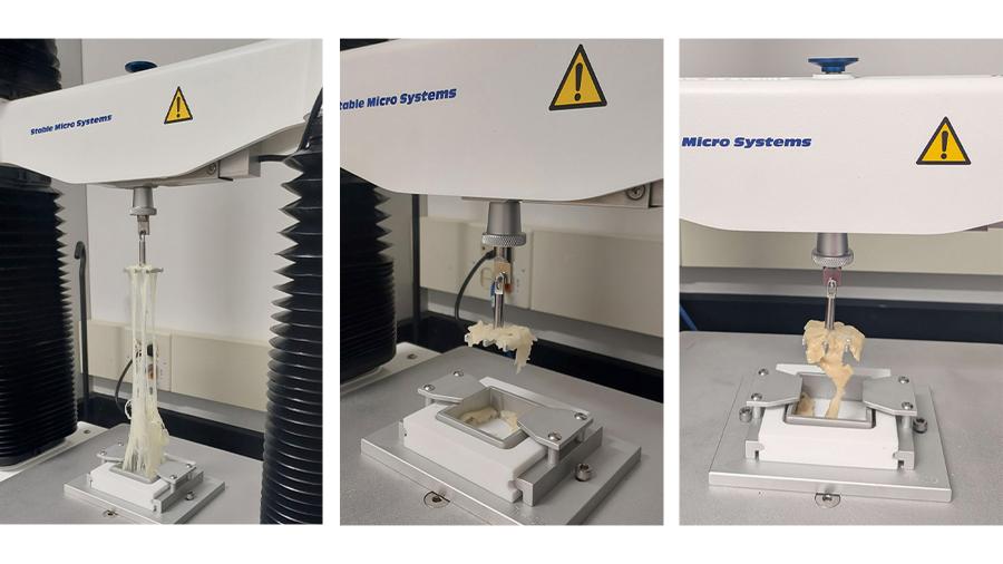 Representation of how different cheeses stretch while using a texture profile analyzer