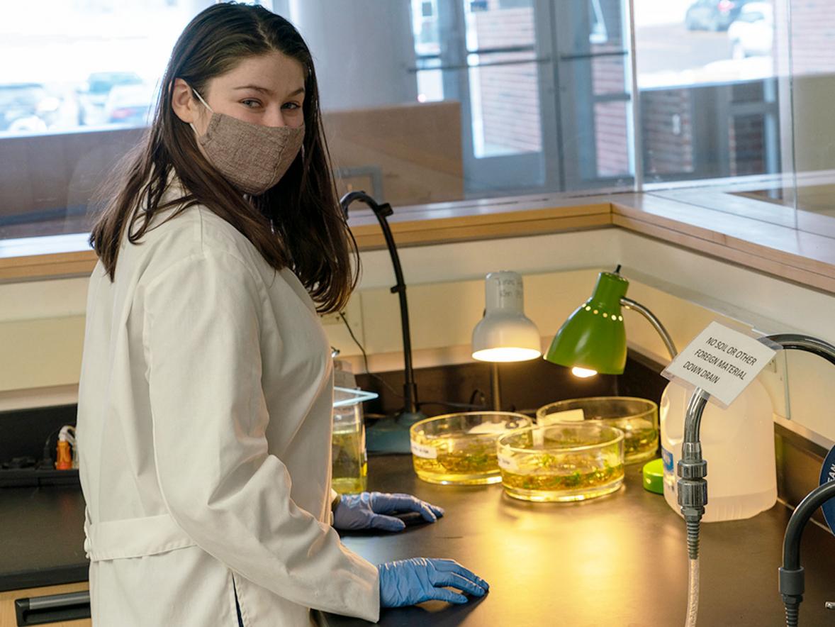 Sara Elmore studying algae in the campus Botany Lab.