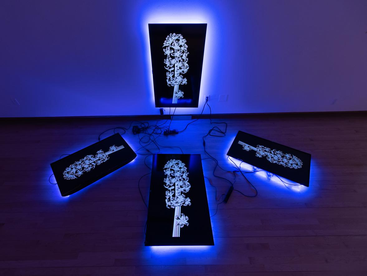 “Hyacintha” by Dustin Steuck is part of the alum exhibit.