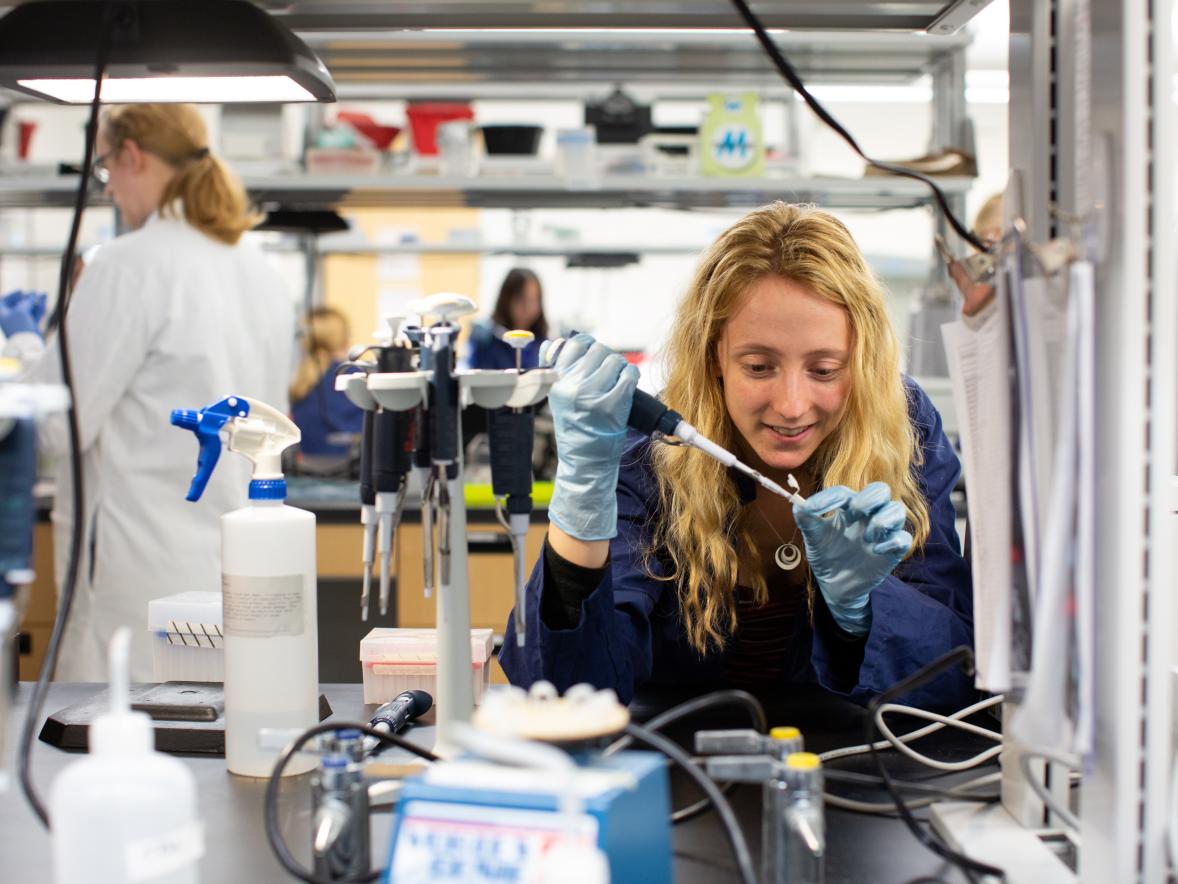 A student does research on honey bee proteins in a science lab at UW-Stout.