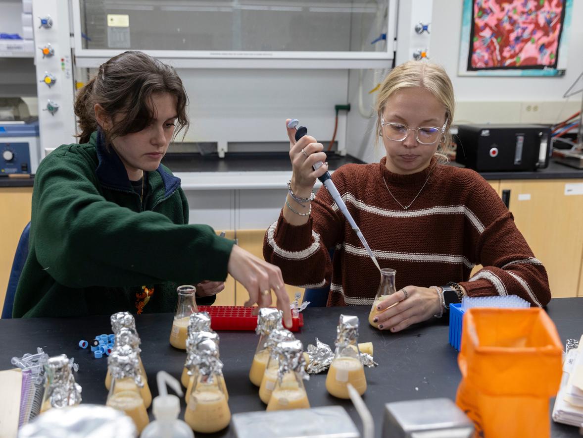 Emma Flemke, left, and Emma VanHout collect data as part of their whey fermentation project in Professor Steve Nold’s General Microbiology course at UW-Stout.